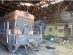 LSTT 101, NP 2153, CBQ 9735 & 4709 inside shed